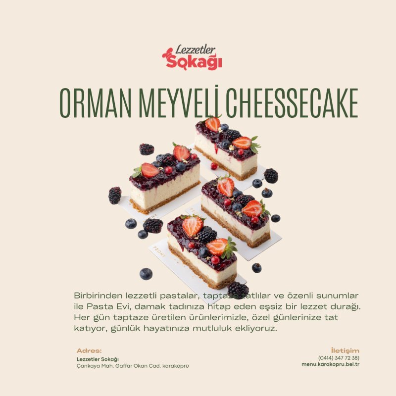 ORMAN MEYVELİ CHEESECAKE